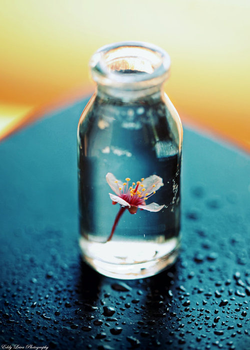 「攻人之恶毋太严，要思其堪受；教人以善毋过高，当使其可从。」《格言联璧》