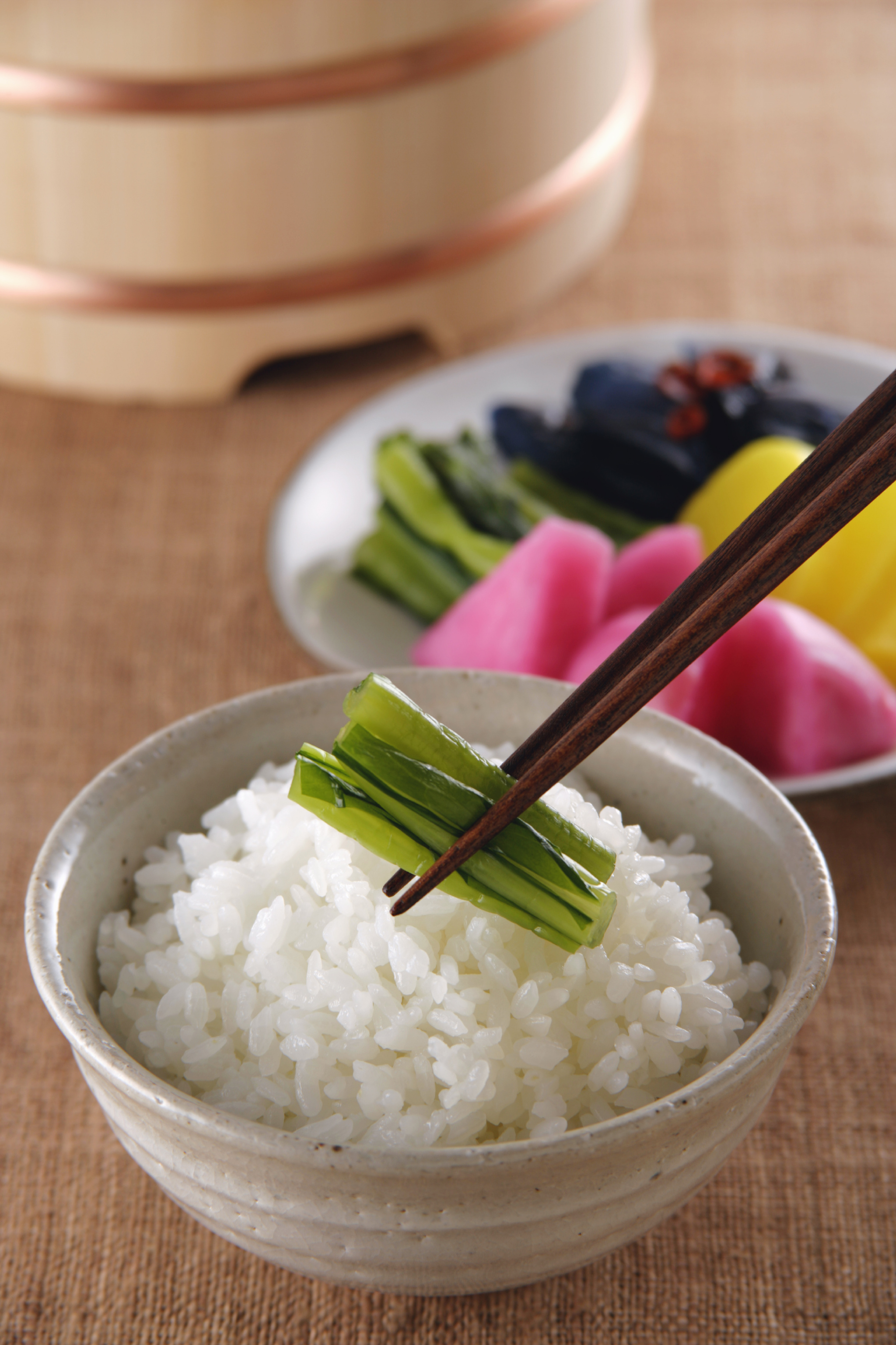 「“布衣”：衣取遮体，兼以御寒，大布之衣，惜福养廉。莫羡绸缎，锦绣华美，折了福寿，自暴自弃！“蔬食”：蔬食卫生，肉食伤生，杀时恨心，其毒非轻。勿贪吃肉，吃了须还，还的时候，真个可怜！」辑录《德育启蒙》·印光法师著