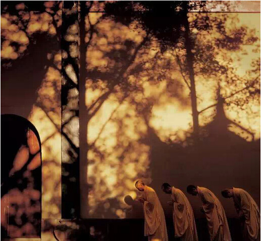 「“离经一字，还同魔说”，“依文解义，三世佛冤”。解释经典义理而不能在心里修行，拿着佛经、佛法当哲学研究，或落到口头禅，但口里讲，或者但写作，一点也不能观心，一点也不能实践、实行，“依文解义，三世佛冤”；要是能依解起行，三世诸佛都欢喜。」辑录·忏云老和尚开示