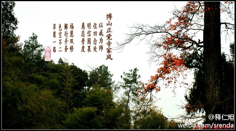 释仁炟