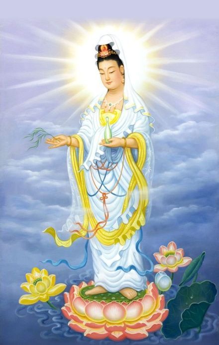 微博精选