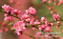 蔡礼旭老师菁言录