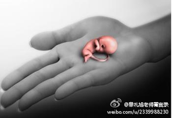 蔡礼旭老师菁言录