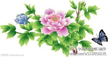 蔡礼旭老师菁言录