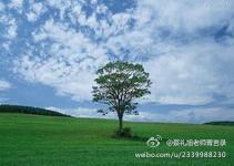 蔡礼旭老师菁言录