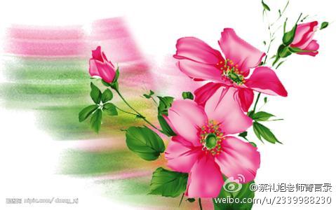 蔡礼旭老师菁言录