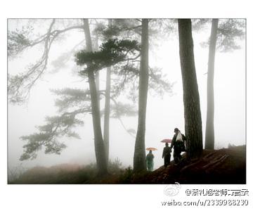 蔡礼旭老师菁言录