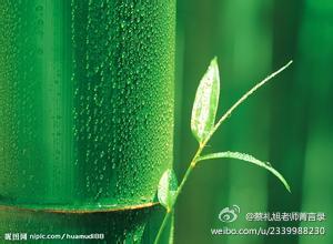 蔡礼旭老师菁言录