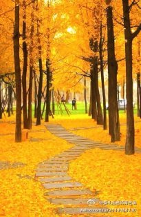 蔡礼旭老师菁言录