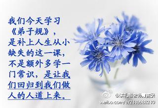 蔡礼旭老师菁言录