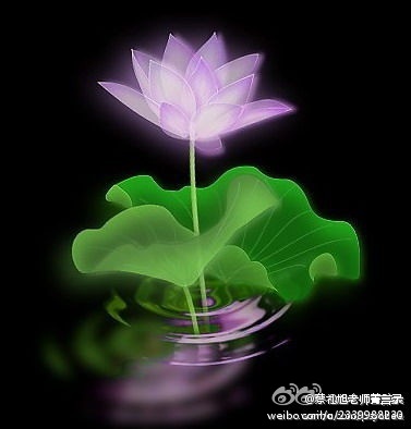 蔡礼旭老师菁言录