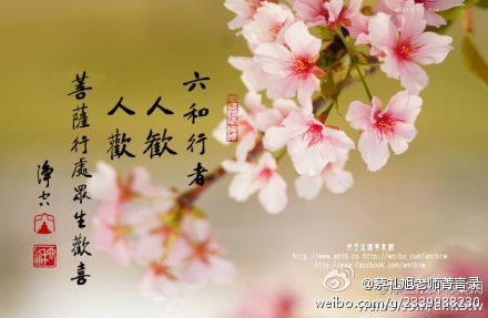 蔡礼旭老师菁言录