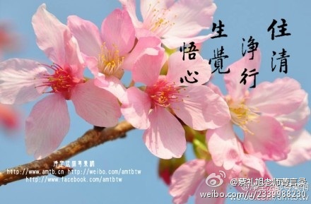 蔡礼旭老师菁言录