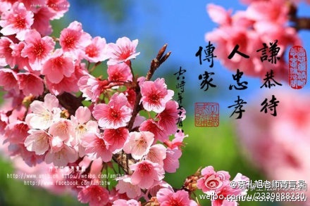 蔡礼旭老师菁言录