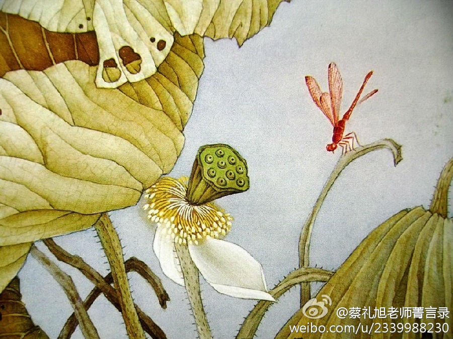 蔡礼旭老师菁言录