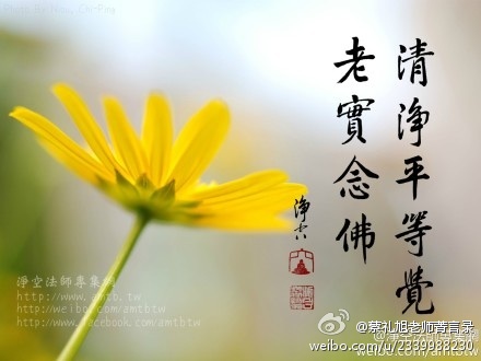 蔡礼旭老师菁言录