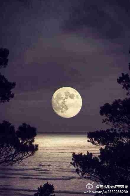 蔡礼旭老师菁言录