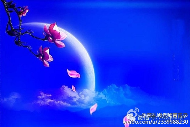 蔡礼旭老师菁言录