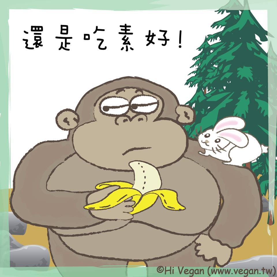 佛教生命电视