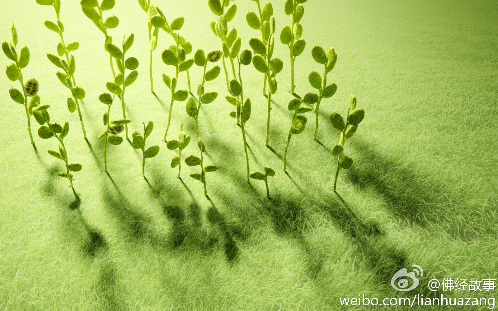 常人皆以动物之滋养较植物为丰富，实则不然。盖植物受日光雨露而滋长，所含维他命之质素，远胜于动物。而动物之脂肪层多霉菌，且当屠宰临终悲鸣，万重悲鸣仇恨哀怨伤感之气质，充溢周身血液脉络纤维细胞中，食之易致精绅肉体之病态。盖乖气愤召，有伤中和之气。惟素食可袪病延年，消除邪念。--太虚大师