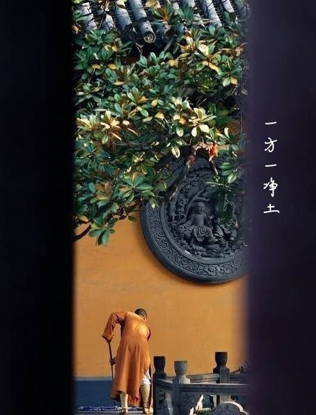 有人以为，要有智慧的人去学法。智慧小的人学不进，直接去修行就可以了。这个话听起来很对，但是，没有学怎么修呢？即使是念阿弥陀佛，怎么念才能心一心不乱呢？往生西方，三辈往生都不能离开菩提心，什么叫菩提心？菩提心又怎么生起来？这些不学是不知道的。所以要好好地听闻正法，好好地随它修行