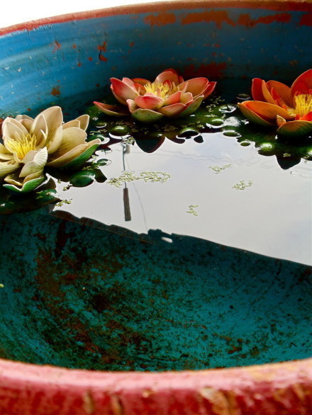 【连受七天八关斋戒，修什么法都容易相应】受八分斋戒有什么功德呢？《俱舍论》里讲，如果有人能够一天一夜持不杀戒，决定不会碰到刀兵劫。下至持过午不食一条戒，也有很大的功德。这就像一个功德的器。如果受七天，能够承受很多的功德、积累很多的资粮，不管你去修什么法，都很容易相应。