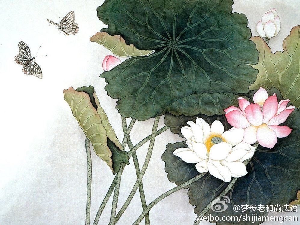 梦参老和尚法语