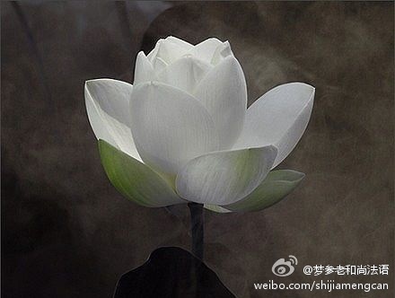 梦参老和尚法语