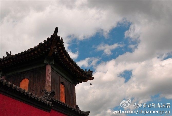 梦参老和尚法语