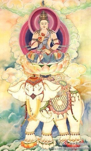 梦参老和尚法语