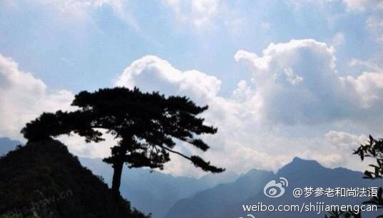 梦参老和尚法语