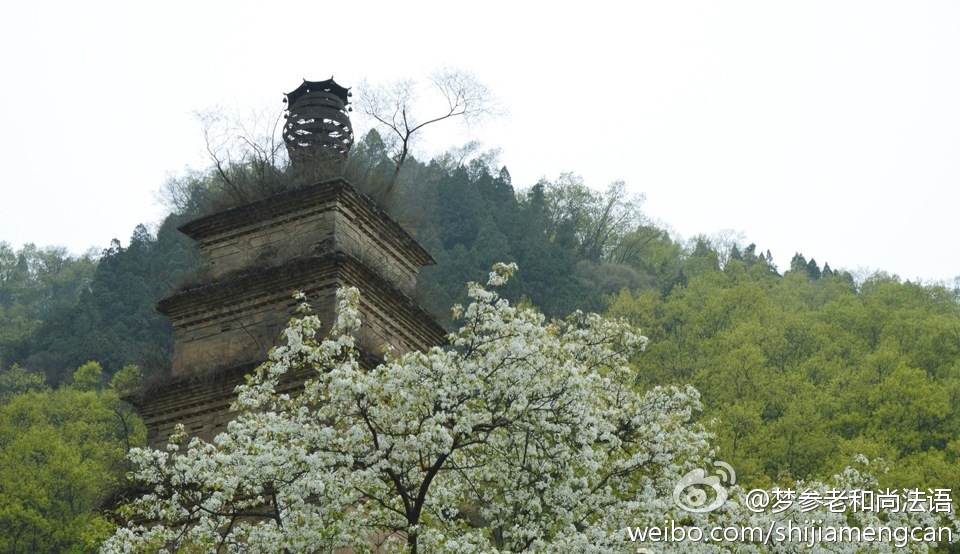 梦参老和尚法语