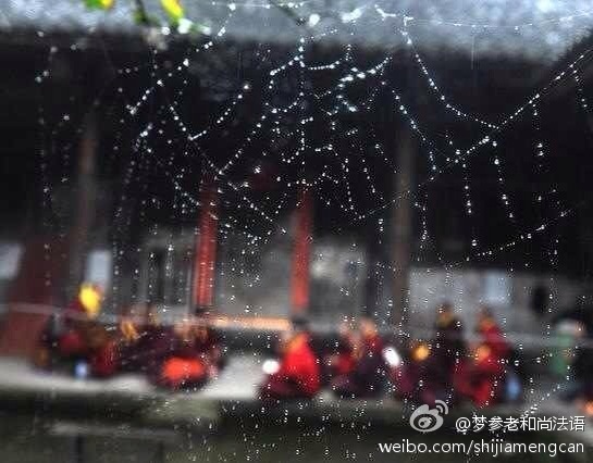 梦参老和尚法语