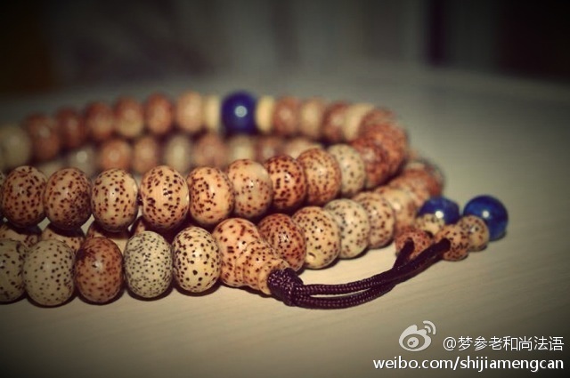 梦参老和尚法语