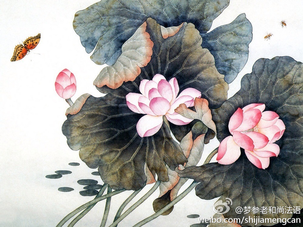 梦参老和尚法语