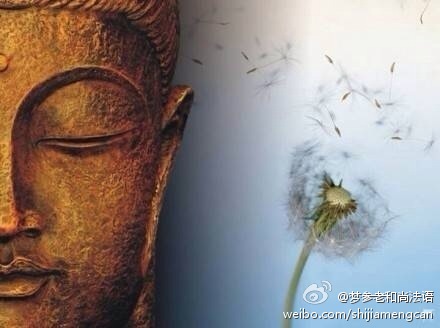 梦参老和尚法语