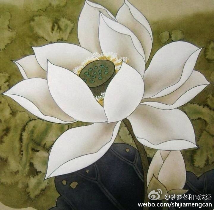 梦参老和尚法语