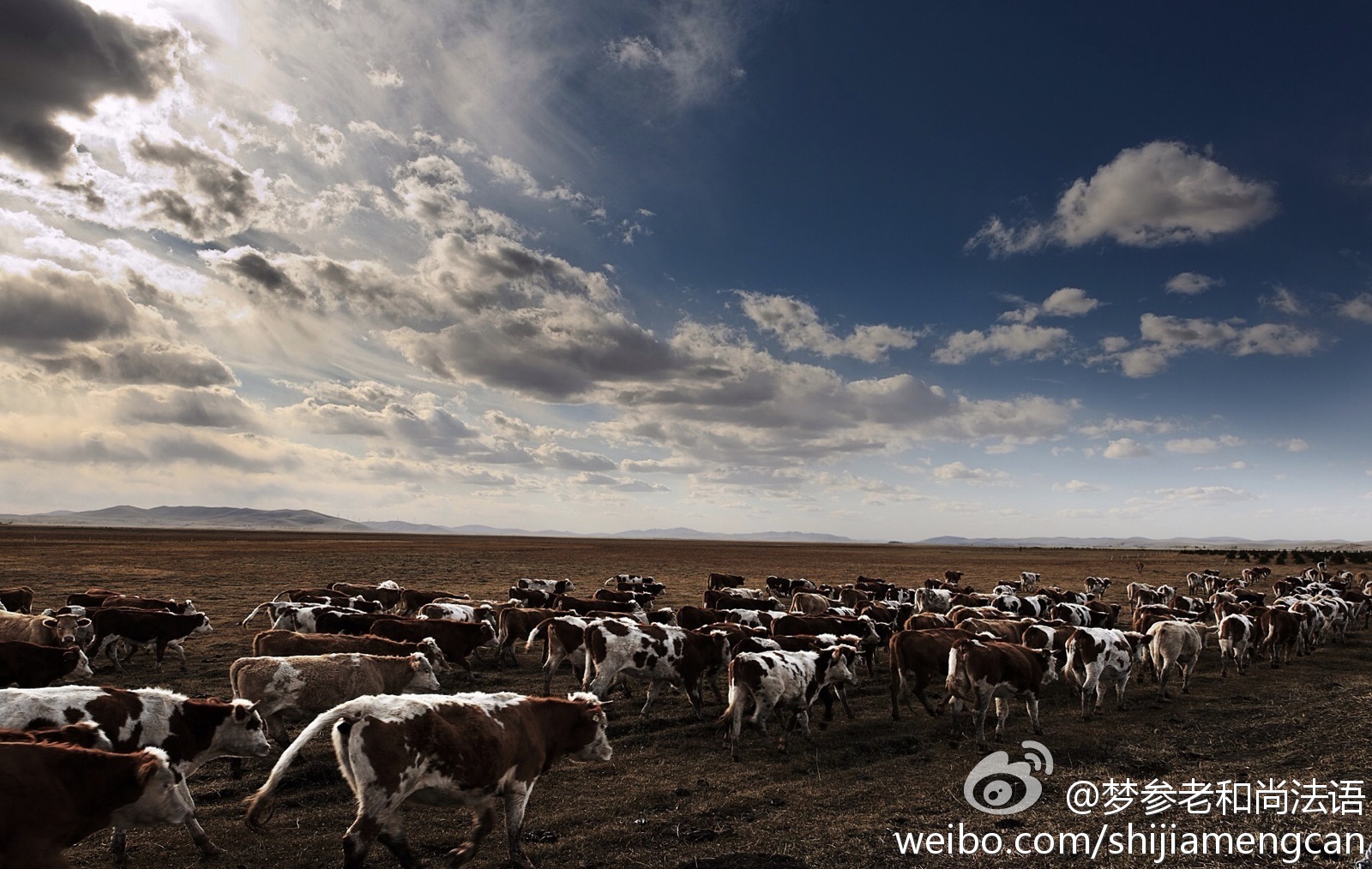 梦参老和尚法语