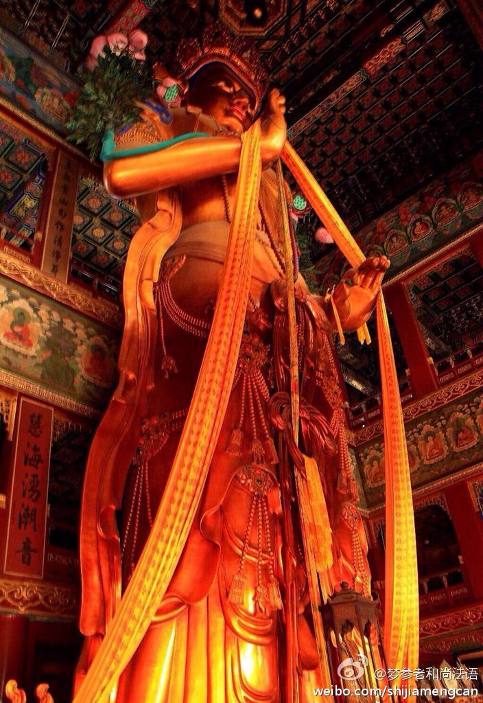 梦参老和尚法语