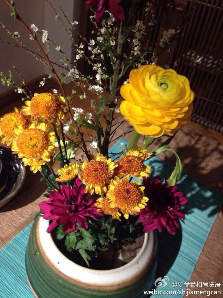 梦参老和尚法语