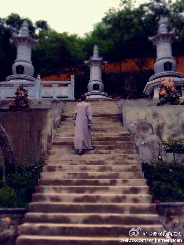 梦参老和尚法语