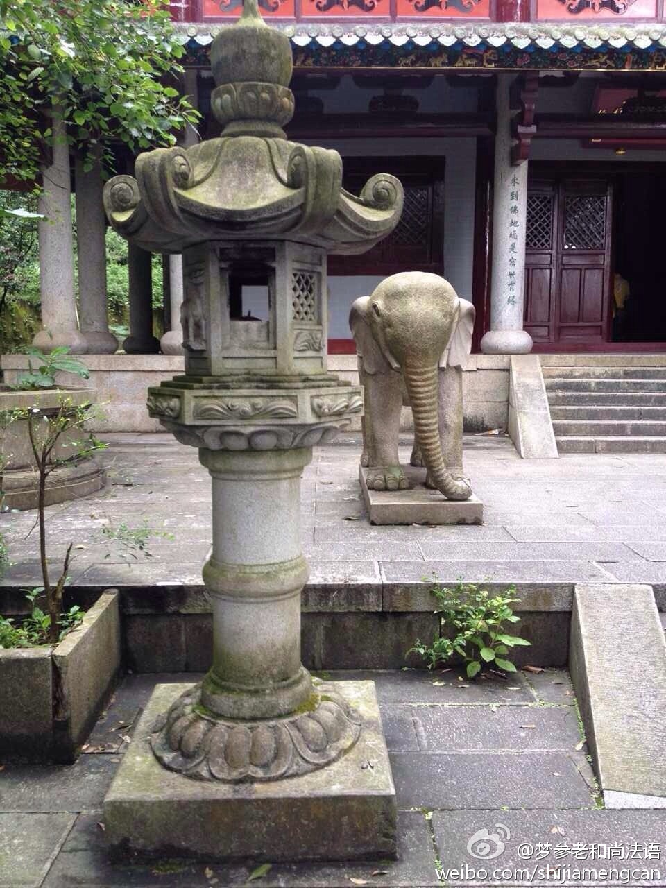 梦参老和尚法语