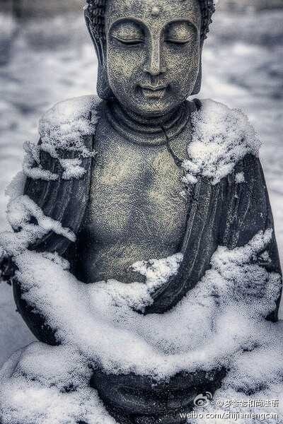 梦参老和尚法语