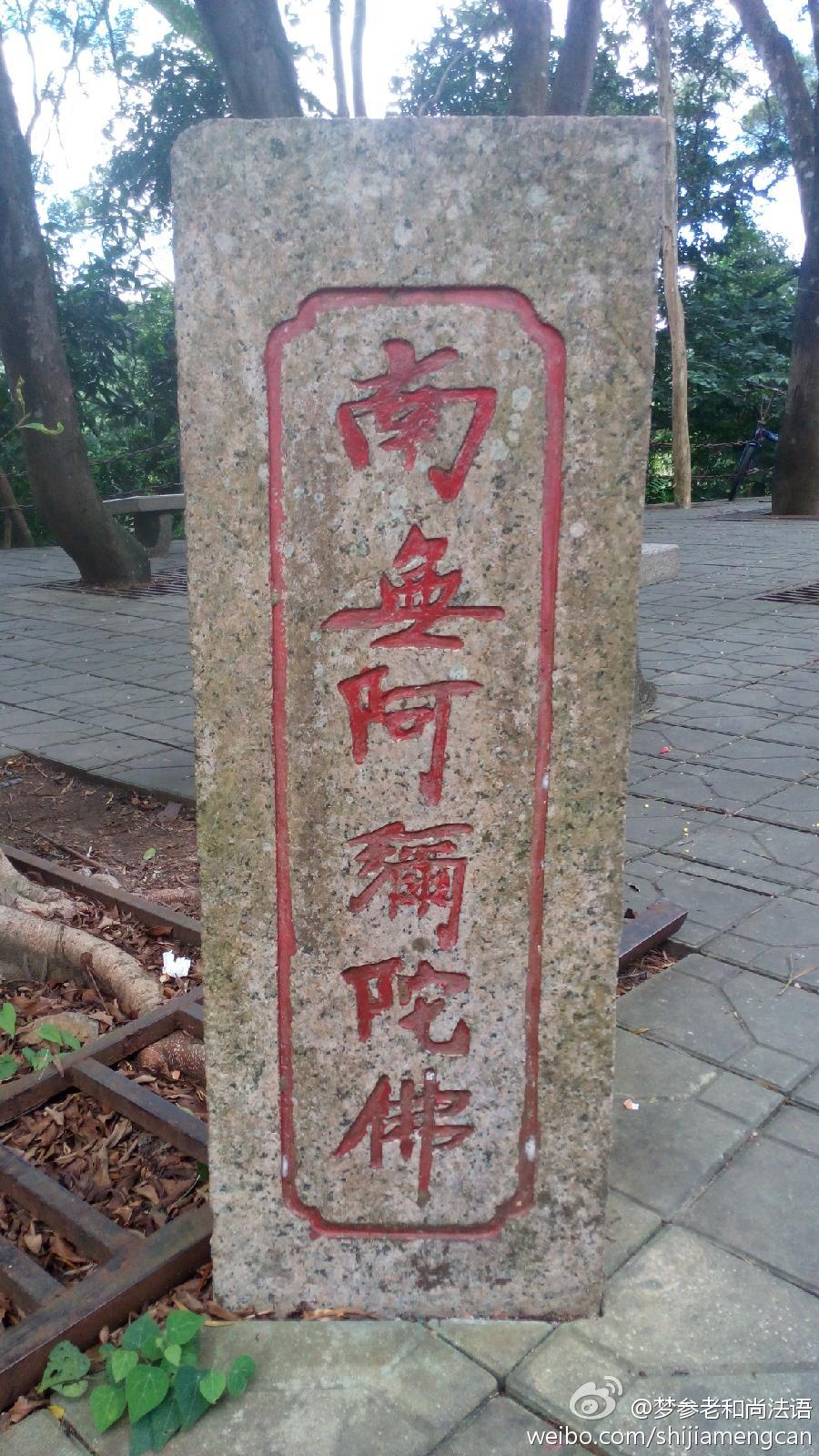梦参老和尚法语