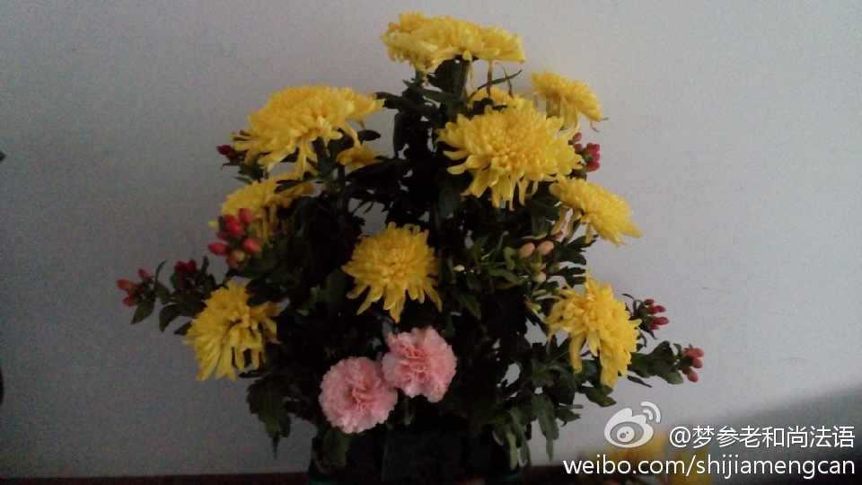 梦参老和尚法语