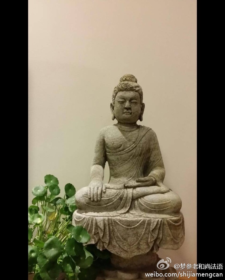 梦参老和尚法语