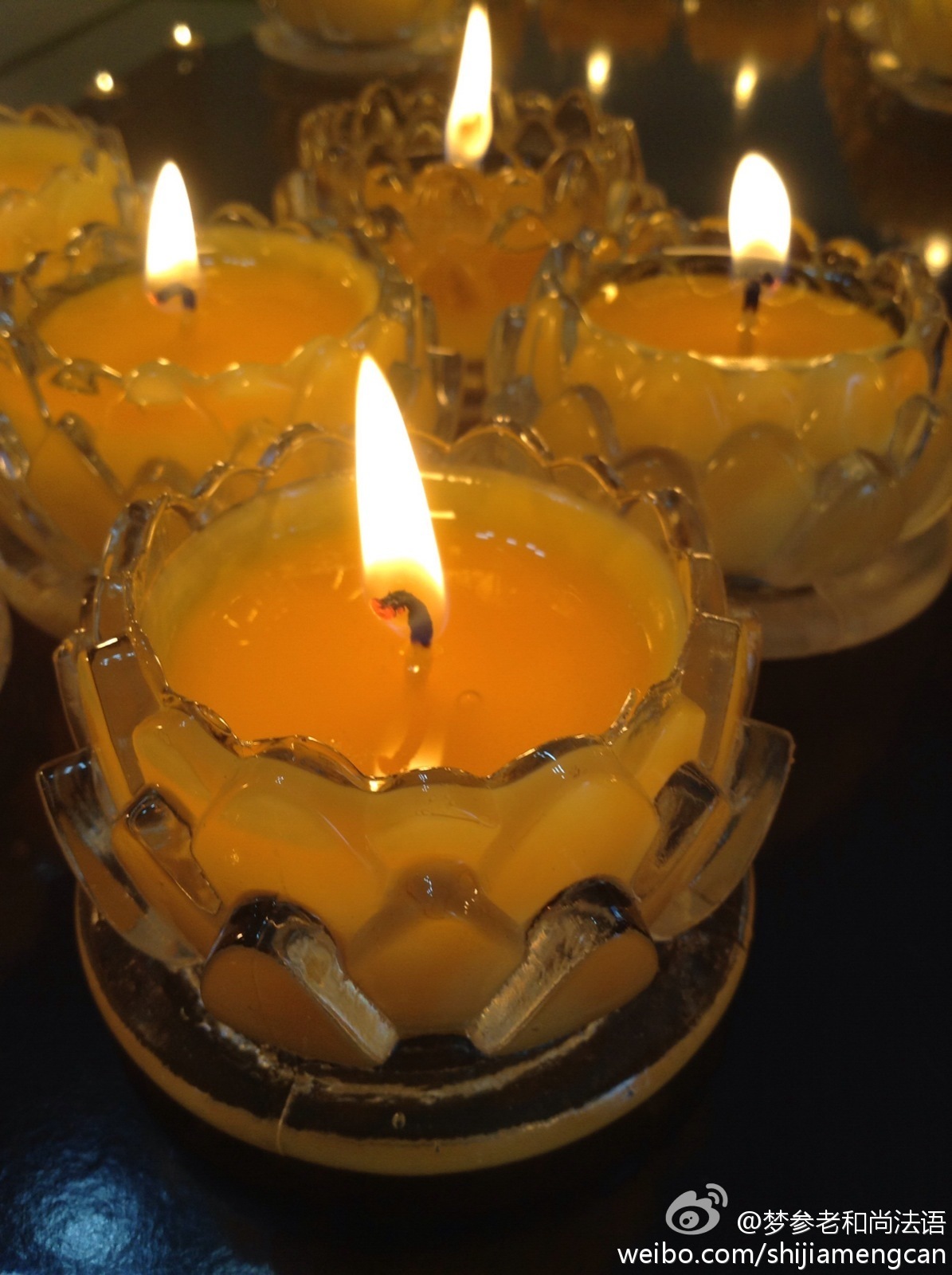 梦参老和尚法语