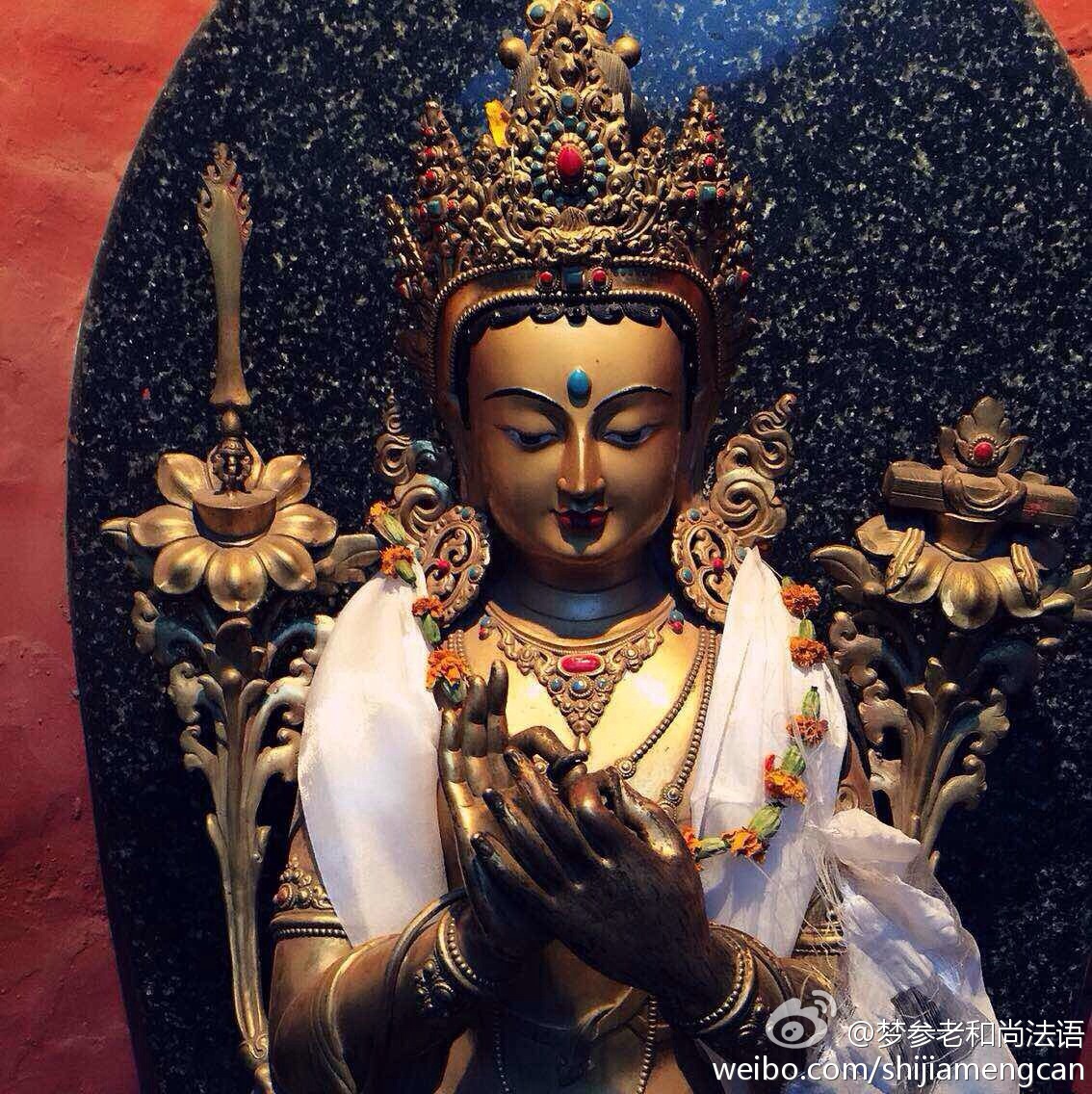 梦参老和尚法语