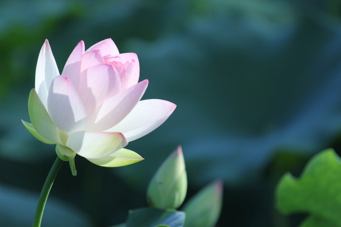 印光法师文钞菁华录