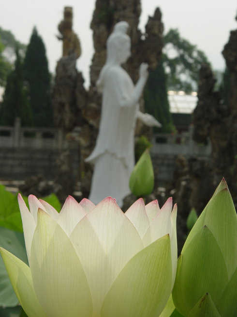 印光法师文钞菁华录